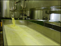 bath of cheese