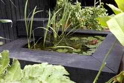 raised fish pond