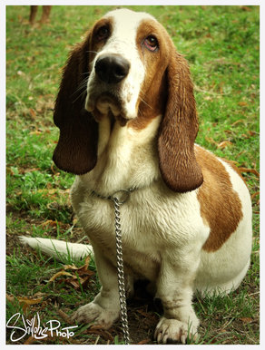 Resistance is futile