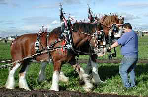 Stephen McNeill leading the team