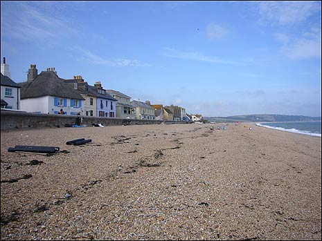 The beach at Torcross