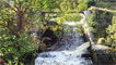 Crossing the footbrige above the weir