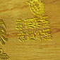 The box containing the umbilical cord, given to Leon at the hospital in Japan