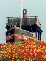 Typhoo Ship