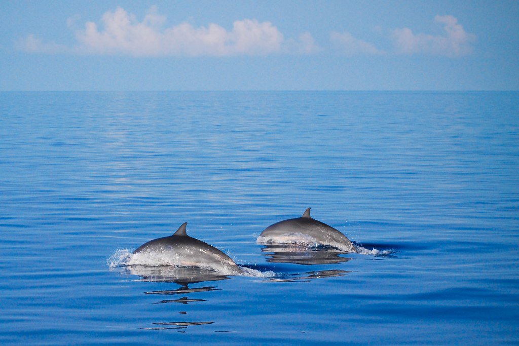 Deeply in love couple