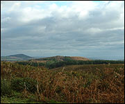 The view towards the Dorset coast