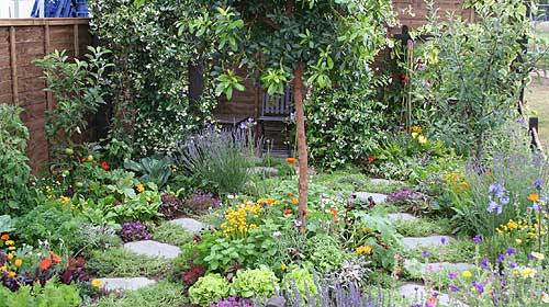 The Giving Garden