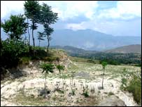 بکریال