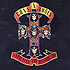 Guns N Roses