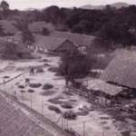 Jungle Camp Cookhouse: Photograph courtesy of the Imperial War Museum, London
