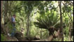 Floresta