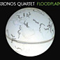 Review of Floodplain