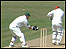 Cricket action