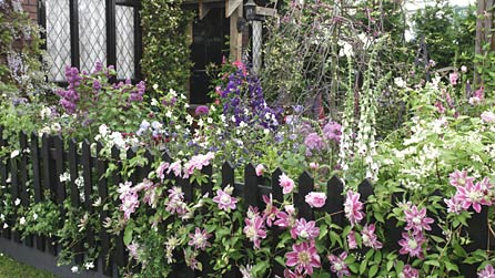 Generation Gardens - The Cottage Garden