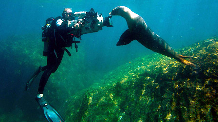 Cameraman Scott Tibbles and sea lion