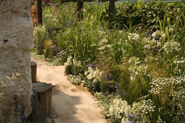Sandstone paving representing the beach is softened by planting of white Antirrhinum, Stachys and the frothy heads of Ammi majus