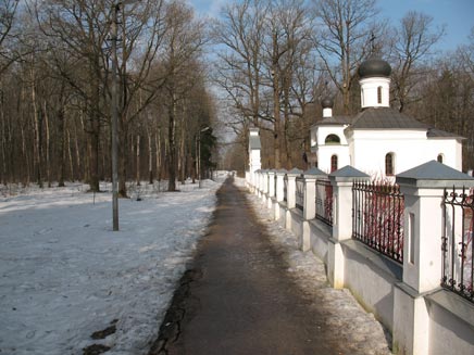 Woodland path by the side of a suburban Russian house