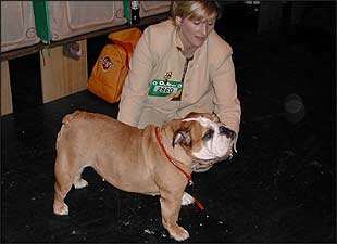 Crufts 2004
