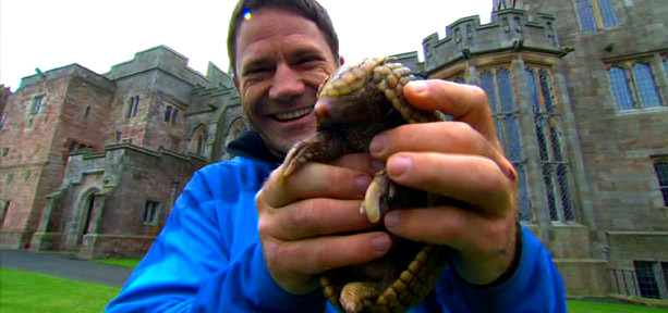 Steve Backshall holding an armadillo