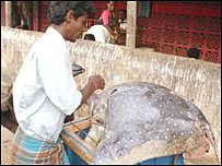 Jaffna fishermen