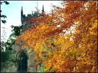 Brompton-Hambleton Church: Harry Cooke