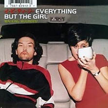 Review of Walking Wounded Review of Walking Wounded