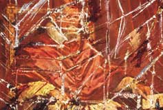 Francis Bacon's Pope Innocent X.