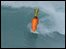 a surfing carrot