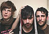 Foals