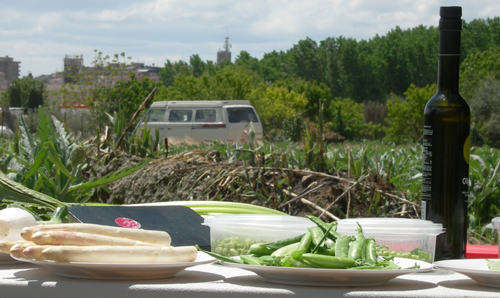 Plate of food with campervan from Rick Stein's Spain.