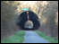 Staple Hill tunnel