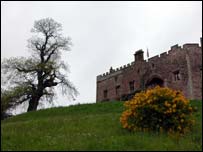 Tom Fool's tree stands infront of Muncaster Castle