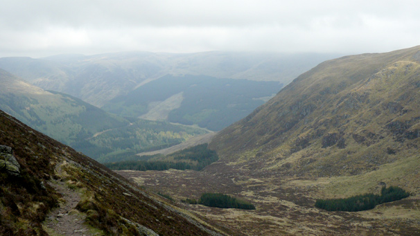 Angus Glen