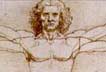 Vitruvian man