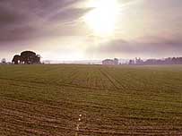Buckenham Farm