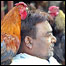 बर्ड फ़्लू