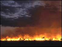 Incêndio florestal