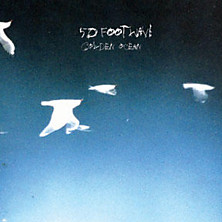 Review of Golden Ocean