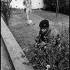 NORTHERN IRELAND. 1973