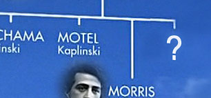 A family tree diagram