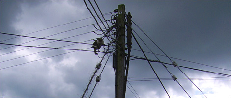 Freddy the cat on a wire