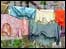 Clothes hanging on washing line
