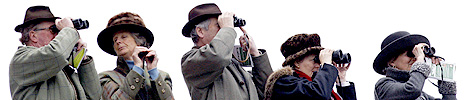 Spectators at the Cheltenham National Hunt Festival 2008 (Getty image)