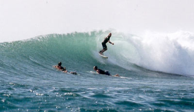 www.amigosurfmexico.com