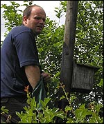 Dave replaces the ringed chick