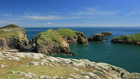 Ramsey Island by Mike Davies