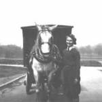 Marjorie and the CO-OP horse