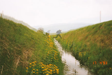 Christian Philipp Müller, 2562km 1993/2005 - part of the Ground Level exhibition