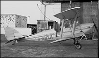 Tiger Moth