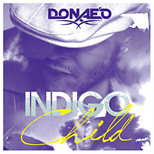 Review of Indigo Child Review of Indigo Child